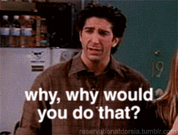 ross from friends asks why