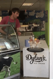 Dylans Ice Cream Contactless
