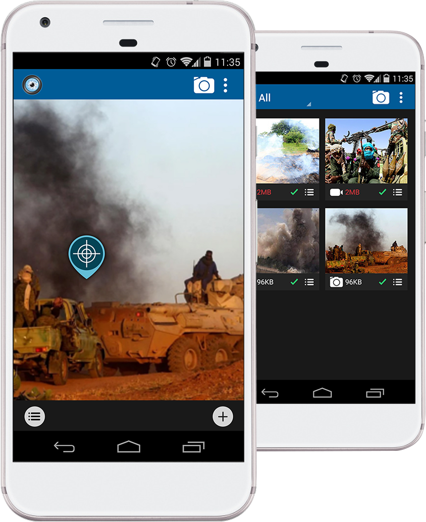 Eyewitness case study picture